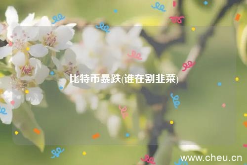 比特币暴跌(谁在割韭菜)