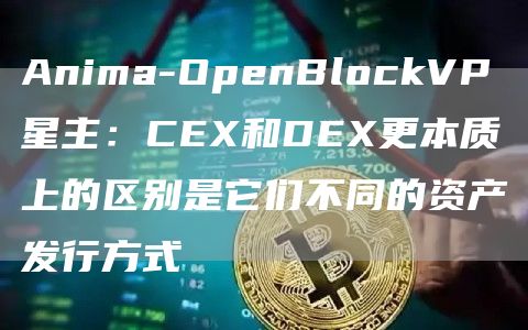 Anima-OpenBlockVP星主：CEX和DEX更本质上的区别是它们不同的资产发行方式1