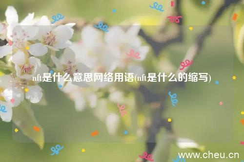 nft是什么意思网络用语(nft是什么的缩写)