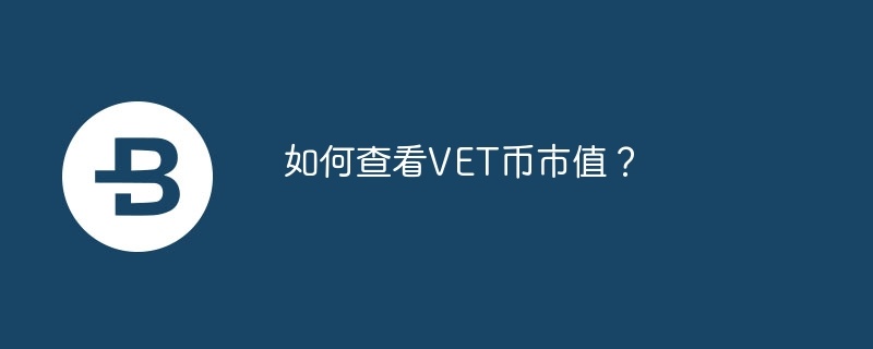 如何查看VET币市值？