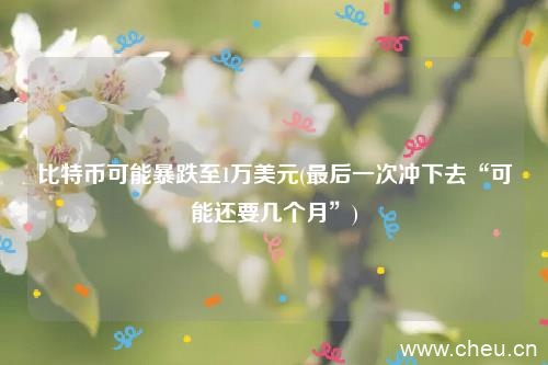 比特币可能暴跌至1万美元(最后一次冲下去“可能还要几个月”)