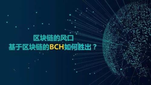 2018比特现金挖矿一天收益多少?BCH挖矿收益分析