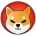 shibainu-119